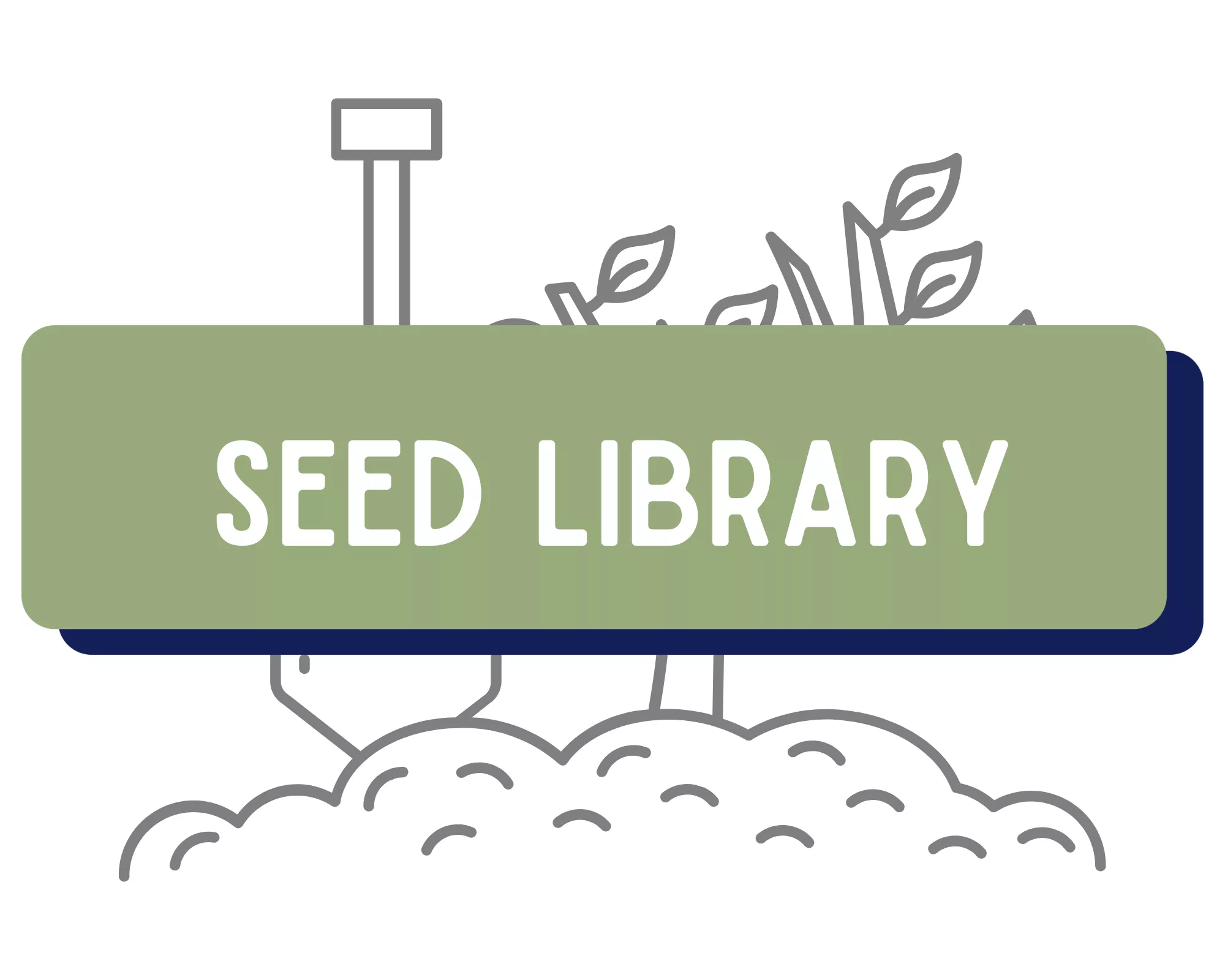 seed