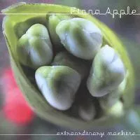 Extraordinary Machine by Fiona Apple