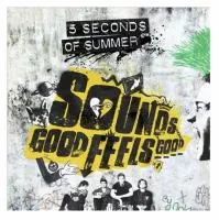 link to Sounds Good Feels Good in the library catalog